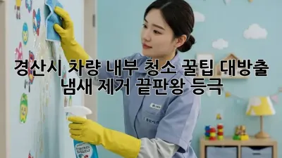 경산시 차량 내부 청소✨ 꿀팁 대방출! 🚗💨 냄새 제거 끝판왕 등극?!
