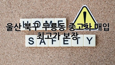 울산 북구 무룡동 중고차 매입, 최고가 보장!