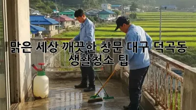 맑은 세상, 깨끗한 창문: 대구 덕곡동 생활청소 팁